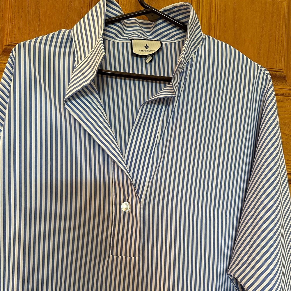 Tuckernuck || WIllow Blouse Blue Stripe XL